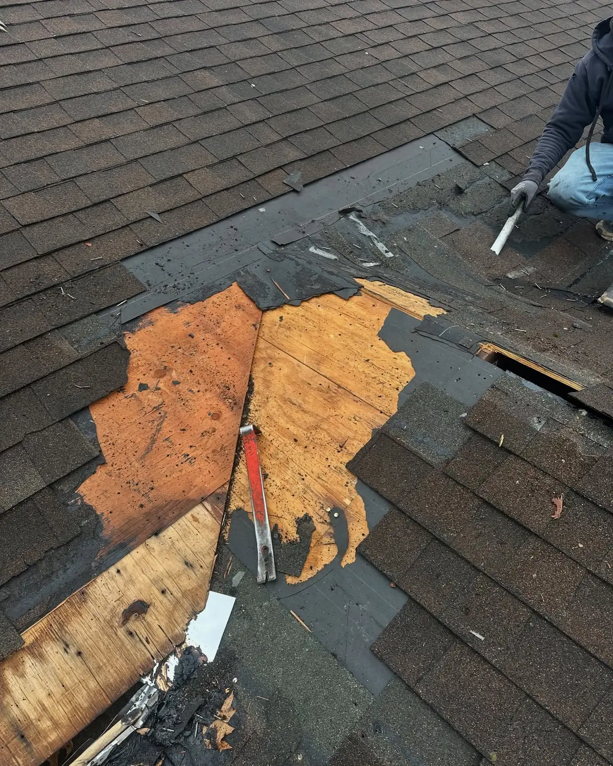 Brown shingles pulled back to show rotted, delaminated roof decking during a repair